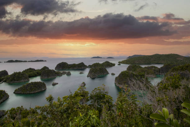 istock amazing tropical seascape from piaynemo view point 1365114329