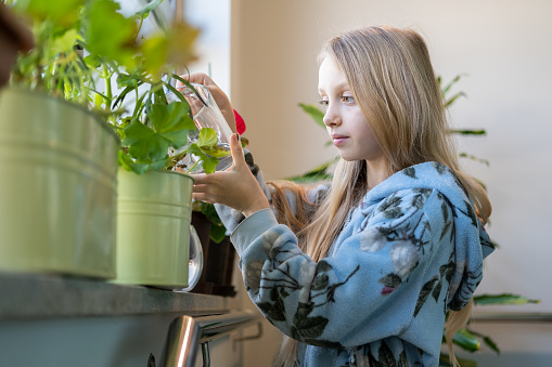Little girl watering houseplants at home