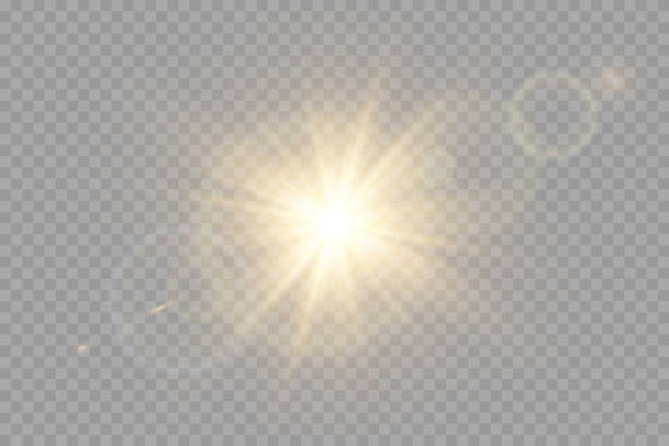 ilustraciones, imágenes clip art, dibujos animados e iconos de stock de vector transparente sol lentes especiales flare efecto de luz. - luz del sol