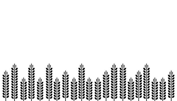 ilustrações, clipart, desenhos animados e ícones de campo abstrato de trigo como a colheita da fazenda - farm vegetable black landscape