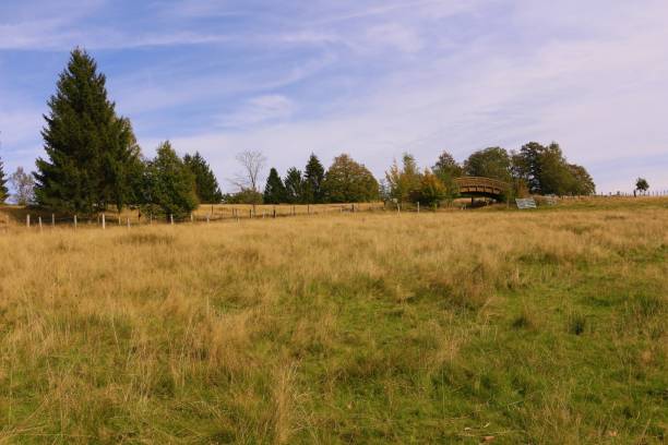 istock Sunny autumn day in the Sauerland 1365115514