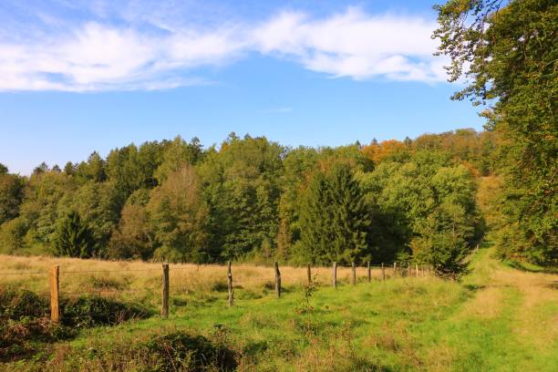 October 10, 2021, Lüdenscheid: Golden autumn in the forests near Lüdenscheid