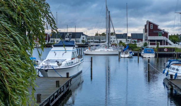 istock Boats in harbor 1365117069