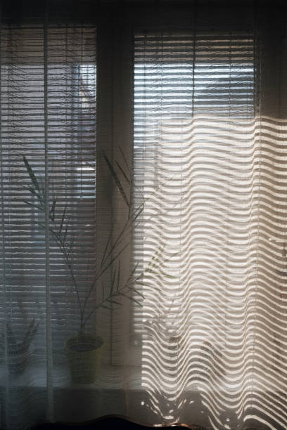 istock Window frame with sunlight with curtain and houseplant 1365118742