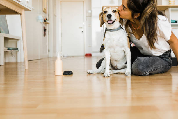 Your Complete Guide to Caring for Your Dog at Home