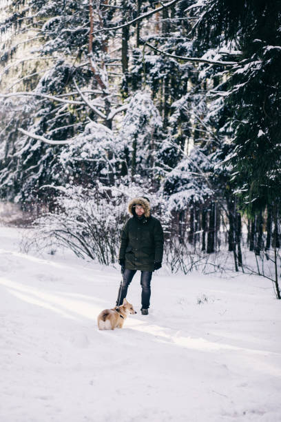 istock Bearded man walking with his corgi in snowy forest. 1365121167