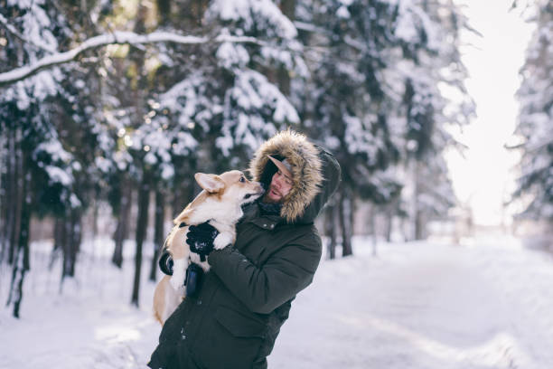 istock cheerful man holds a corgi dog 1365121172