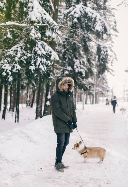 istock man walks with a corgi dog 1365121179