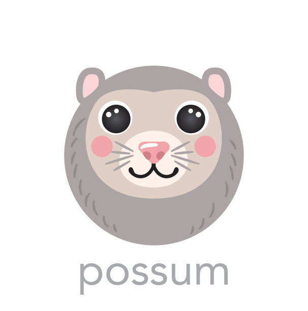 포섬 귀여운 초상화 이름 텍스트 웃는 머리 만화 둥근 모양 동물 얼굴, 흰색 배경에 고립 된 벡터 아바타 캐릭터 아이콘 일러스트. 어린이 포스터, 아기 옷을위한 플랫 심플함 - common opossum stock illustrations