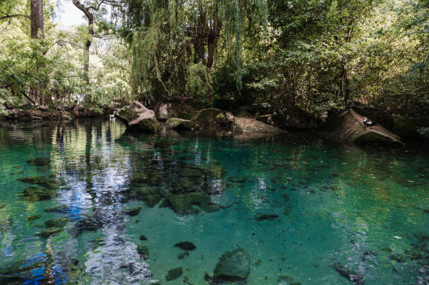 istock A small beautiful lake in a protected park area among mountains and trees 1365124990