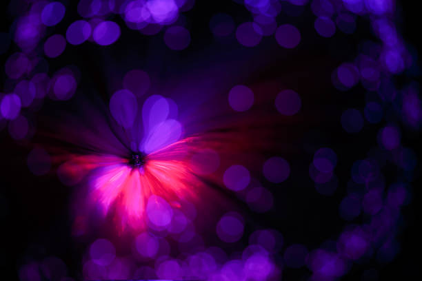 Abstract flowers and grass shadows on holographic purple pink wall texture. Abstract trendy colored nature light concept background. Copy space for text overlay, poster mockup, flat lay, top view
