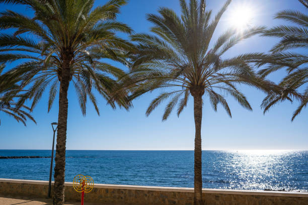 istock Marbella beach downtown Playa de Venus and Playa de la Bajadilla 1365125923