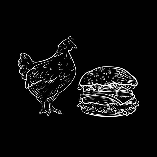 ilustrações, clipart, desenhos animados e ícones de vetor retro estilo giz desenhado hambúrguer com ilustração de frango, contorno preto borger isolado. - chicken old fashioned design element brush stroke