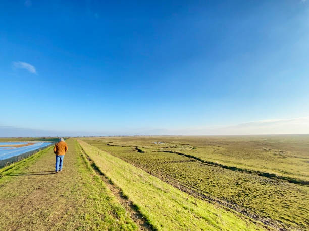 istock Man in Iconic Flat Lincolnshire Wash Landscape 1365127500