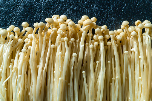 Edible Enoki mushrooms asian food raw macro closeup on black slate in a row