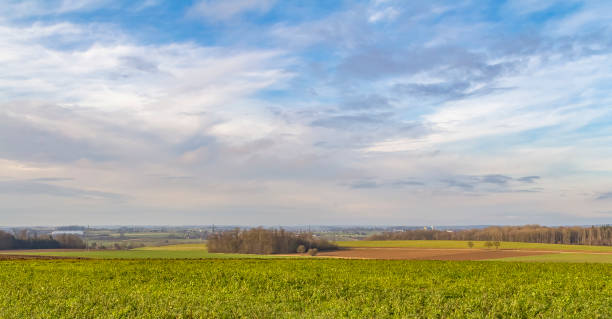 istock Hohenlohe at winter time 1365131252