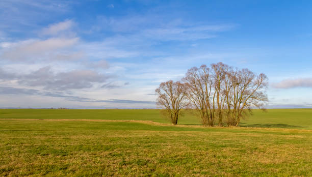 istock Hohenlohe at winter time 1365131368