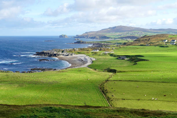 istock Malin Head, County Donegal, Ireland 1365133028