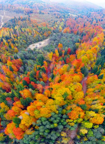 istock oil pump in the autumn mountains 1365133066