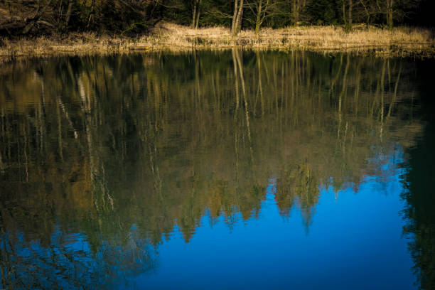 istock Lake in Autumn 1365133070