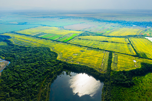 The fields of sunflowers and solar panels were shot by a copter, they are similar in that they love the Sun and everyone is inclined towards it. Forests, lakes and rivers are located in the background.