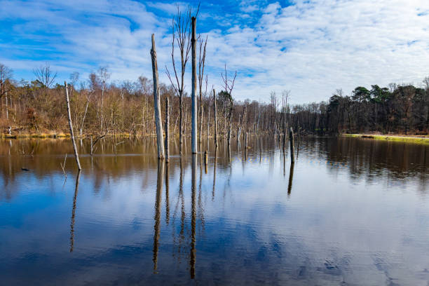 Lake in Autumn park