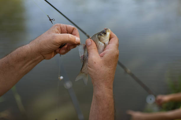 istock Senior man fishing 1365134930