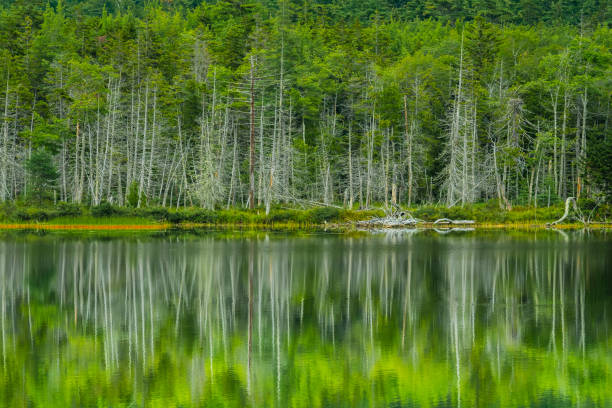 Peaceful quiet scene in Maine, New England.