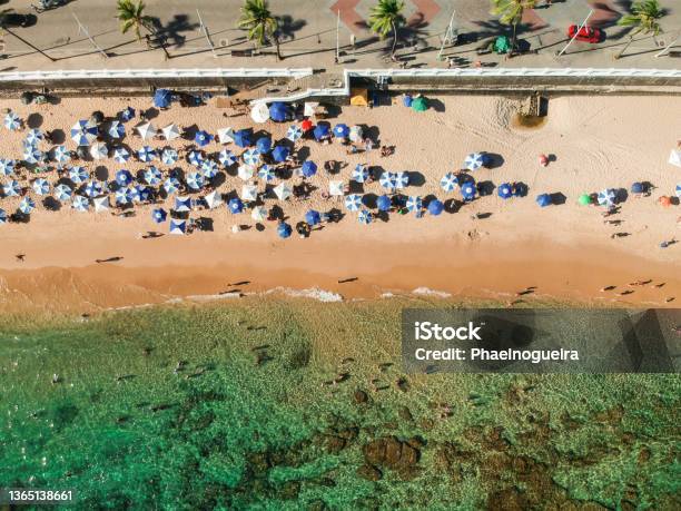 Aerial View Barra Beach In Salvador Bahia Brazil Stock Photo - Download Image Now - Salvador - Bahia, Bahia State, Aerial View