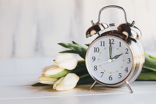 Daylight savings time concept. Set your clocks and to 2 am and spring ahead with this image of an alarm clock with white tulip flowers. Selective focus with blurred foreground and background with copy space.