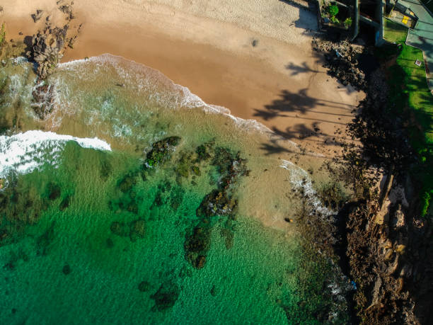 istock Aerial view of a tropical beach 1365138934