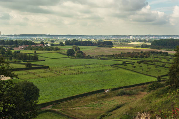 istock Agricultural fields with some trees and hedges and a city on the horizon under a cloudy sky on a summer day. 1365141240