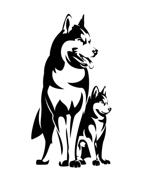 black vector outline of standing siberian husky sled dog and her puppy standing siberian husky and puppy sitting by her side black and white vector outline - malamute sled dog breeding kennel emblem design dog clipart stock illustrations