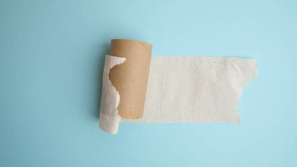 istock End of toilet paper roll. 1365144539