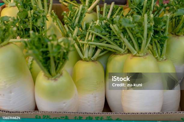 Radishes Sold In A Shopping Street In Yanaka Taito Ward Tokyo Stock Photo - Download Image Now