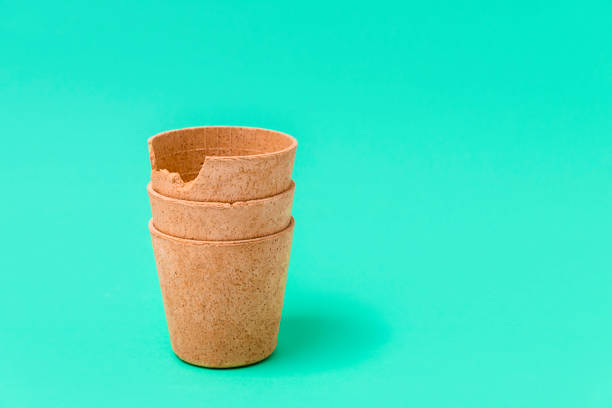 istock Eco-friendly waffle cups that can be eaten on green background 1365149331