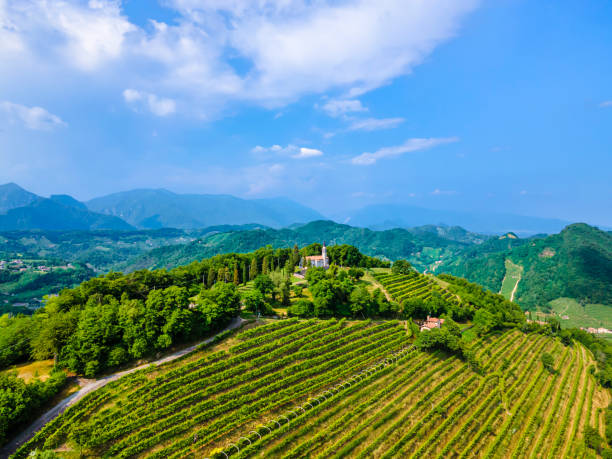 istock Prosecco Hills of Conegliano and Valdobbiadene (Veneto, Italy) 1365149421