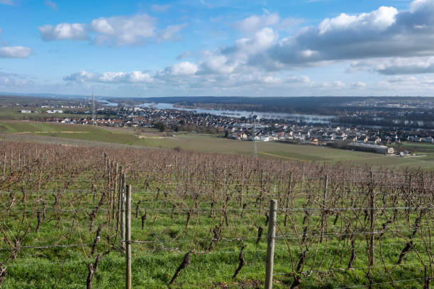istock View of Mittelheim am Rhein 1365152188