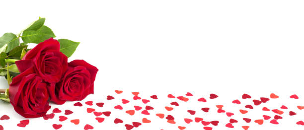 istock Red roses and hearts on white background 1365154136