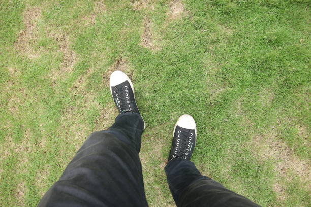 man laying on the grass