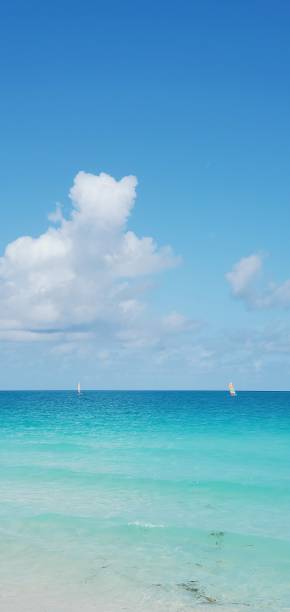 istock Cuba - Cayo Santa Maria 1365155807