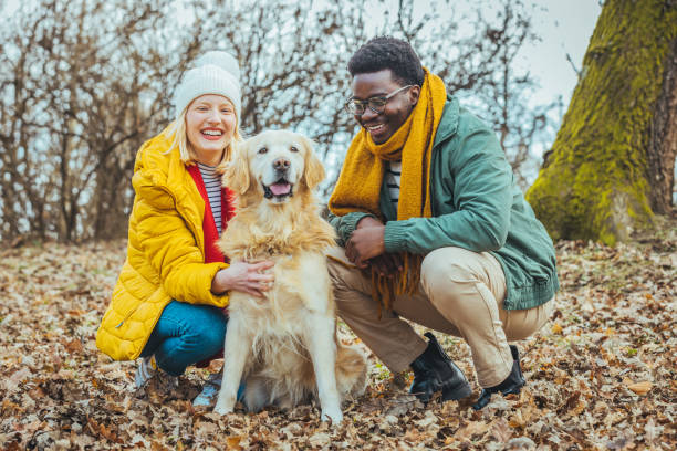 istock Couple On Autumn Walk With Golden Retriever 1365156190