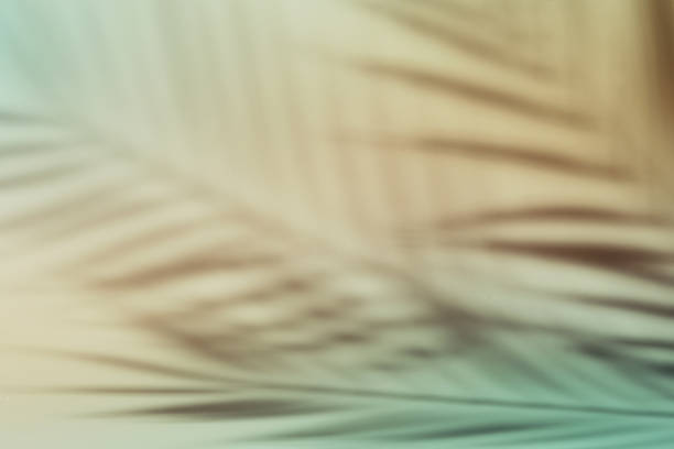 istock Natural palm leaves shadow on gradient paper background. Abstract peach and blue tropical backdrop. Soft light 1365156879