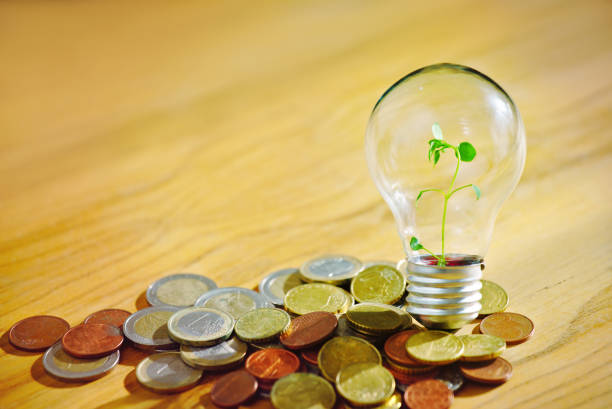 istock Light Bulb With Green Plant 1365156961