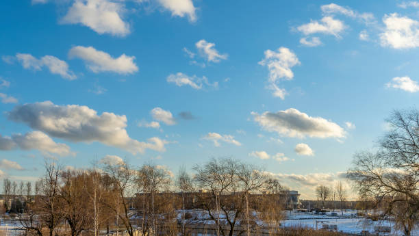 um jovem parque da cidade contra um céu azul brilhante com nuvens. paisagem urbana. primeira neve na cidade. - central park - fotografias e filmes do acervo