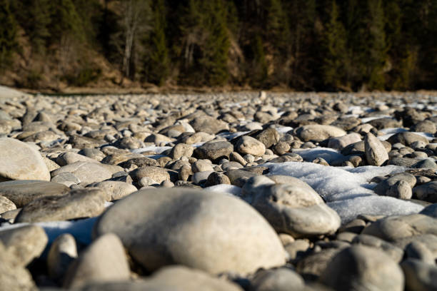 White rocks and stones near a river and a forest