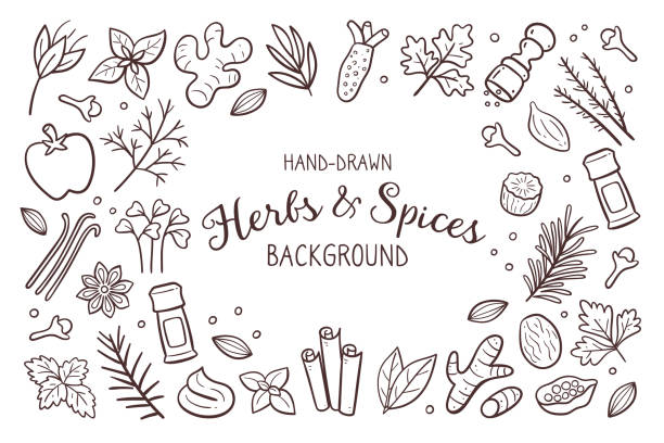 doodle herbs & spices background - cardamom seed plant isolated stock illustrations