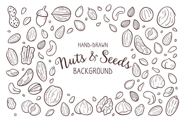 illustrazioni stock, clip art, cartoni animati e icone di tendenza di doodle nuts & seeds sfondo - frutta secca