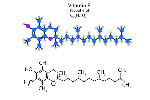 Print Vitamin E molecular structure. Tocopherol skeletal formula. Scientific background. Vector illustration. Stock image. EPS 10. alpha tocopherol stock illustrations
