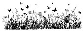 istock Meadow herbs and flying butterflies. Flowering summer or spring field. 1365162313